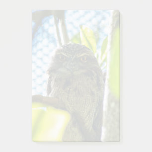 Tawny is No Owl Post-it Notes