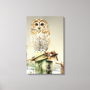 Tawny Owl dans la neige fine art imprimé en toile
