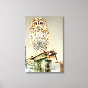 Tawny Owl in the snow fine art boxed canvas print