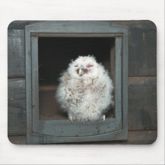 Tawny Owl Mouse Pad
