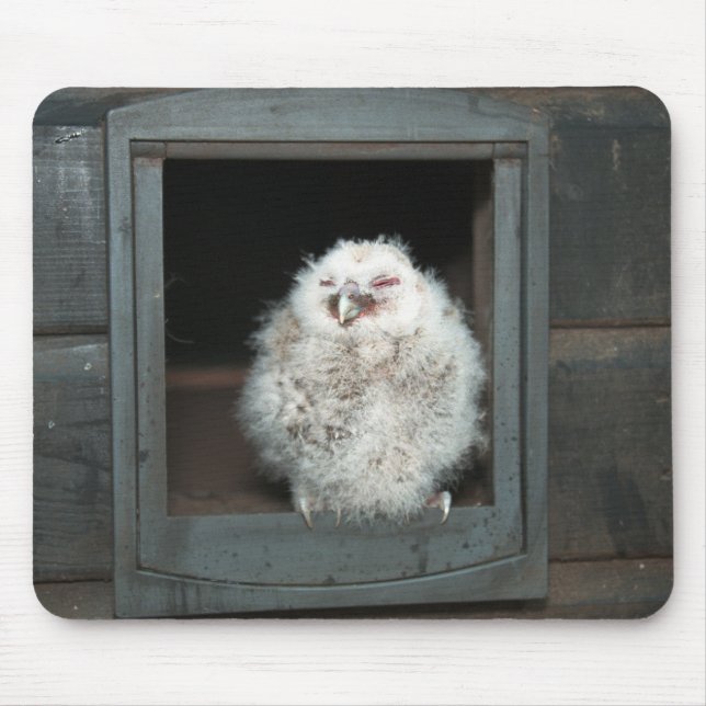 Tawny Owl Mouse Pad (Front)