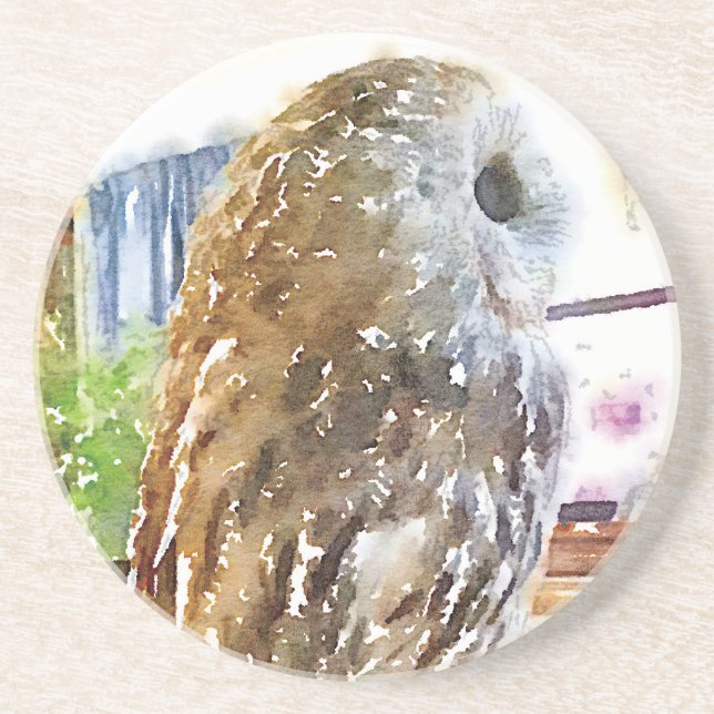 Tawny owl painted with watercolors coaster (Front)