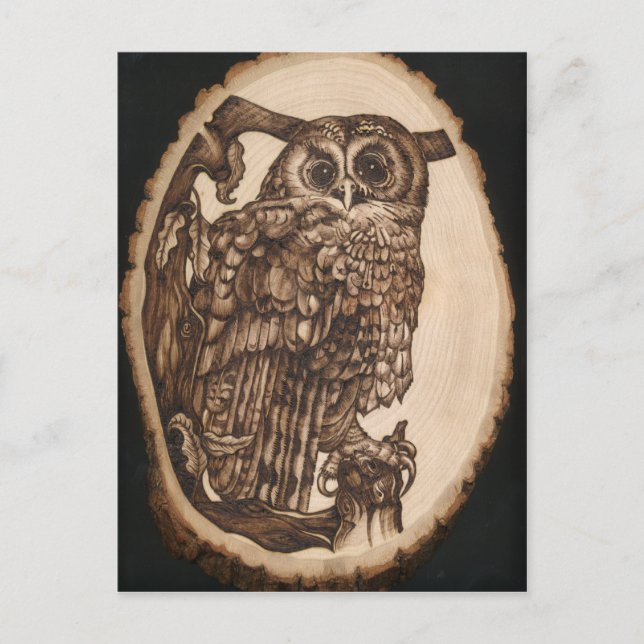 Tawny Owl Postcard (Front)