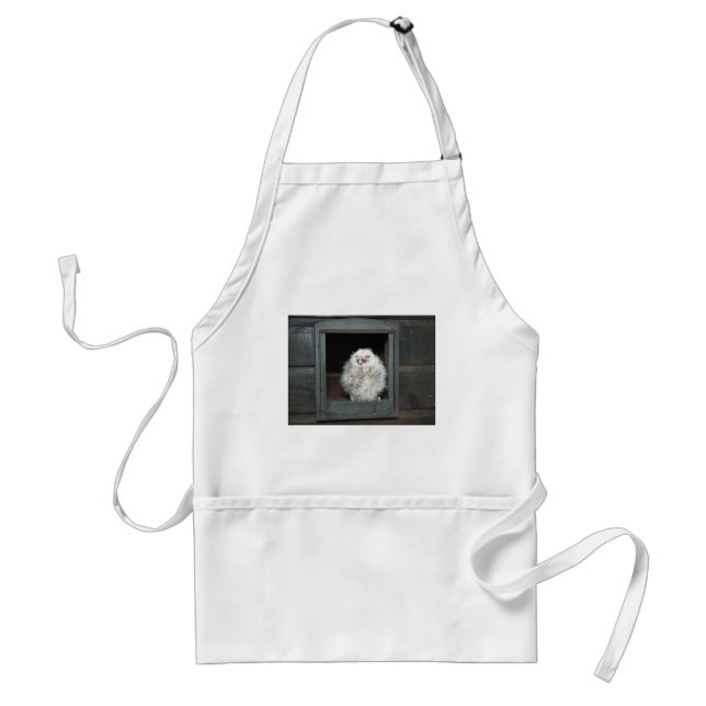Tawny Owl Standard Apron (Front)
