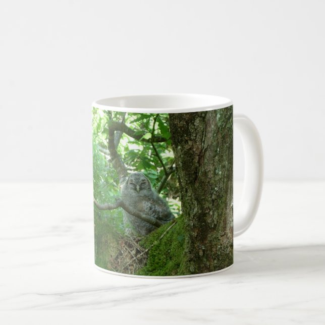 Tawny Owlet in an Ancient Oak Tree Coffee Mug (Front Right)