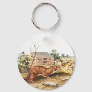 Tawny Weasel (Putorius fuscus) Illustration Keychain