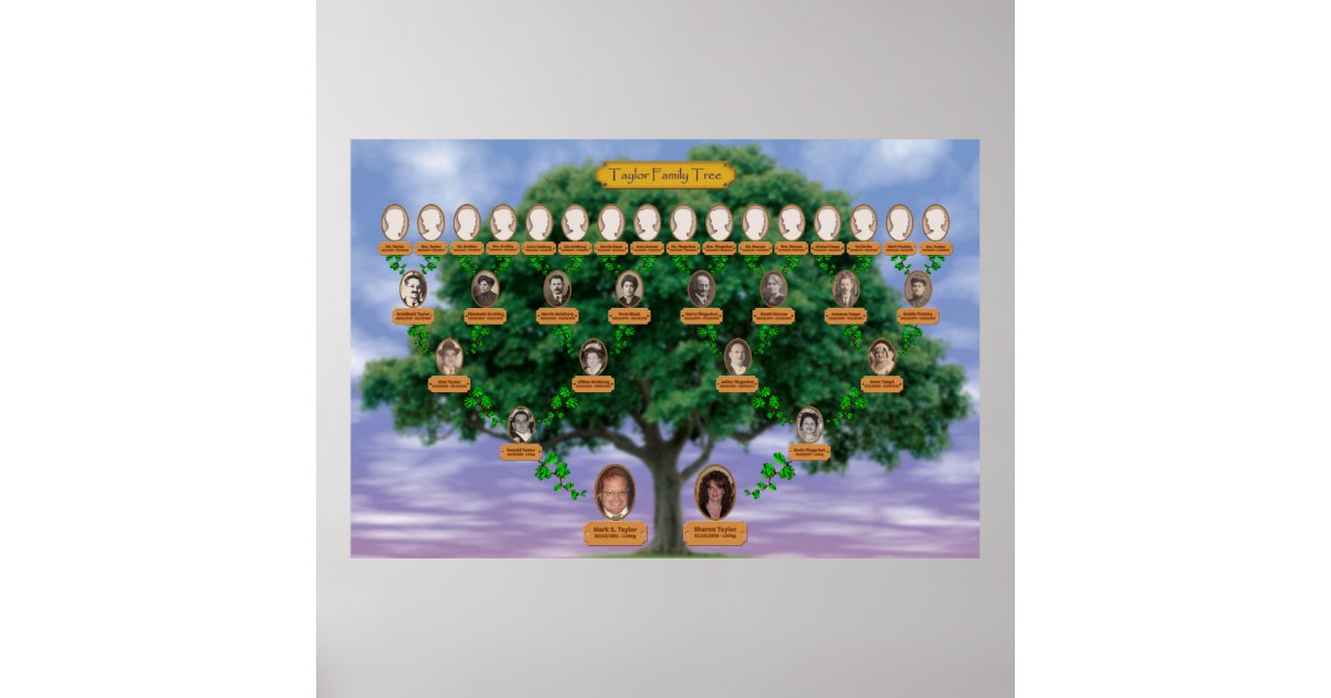 Taylor Family Tree Poster Zazzle