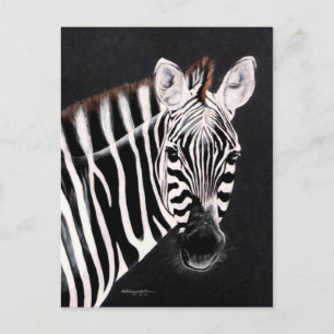 Taylor's other Zebra by DiDi Postcard