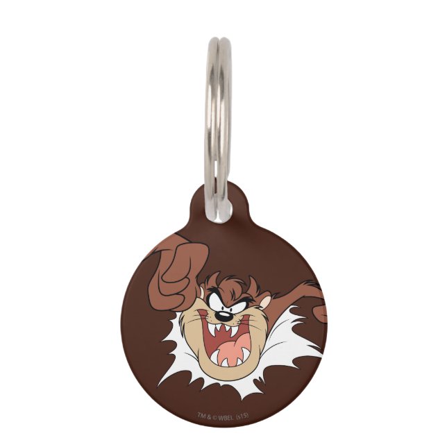 TAZ™ Bursting Through Page Pet Tag (Front)