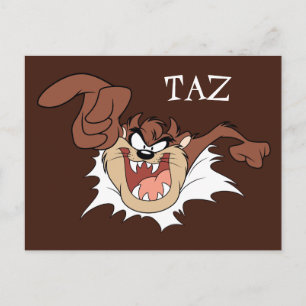 TAZ™ Bursting Through Page Postcard