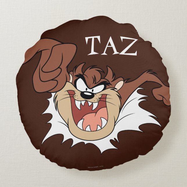 TAZ™ Bursting Through Page Round Pillow (Back)
