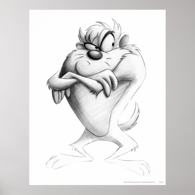 TAZ™ Drawing Poster (Front)