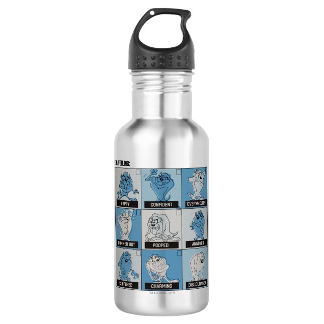 TAZ™ Emotion Checkbox 532 Ml Water Bottle (Front)