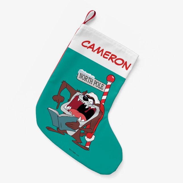 TAZ™ "I CAROL NOW!" SMALL CHRISTMAS STOCKING (Front (Hanging))