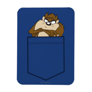 TAZ™ In A Pocket Magnet