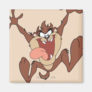 TAZ™ Leaping Magnet