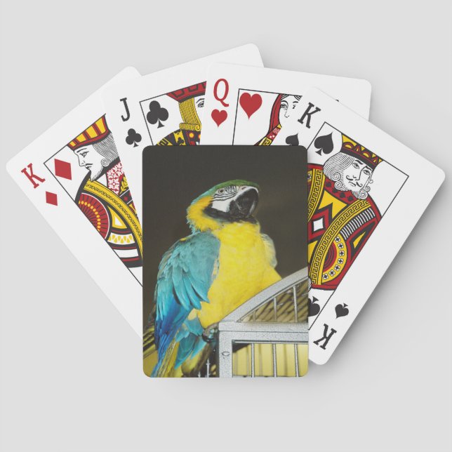 Taz.... Playing Cards (Back)