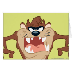 TAZ™ pose 14