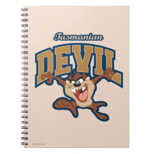 TAZ™ Tasmanian Devil Patch Notebook