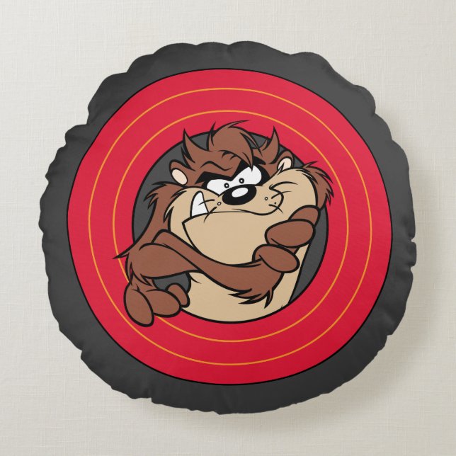 TAZ™ Through LOONEY TUNES™ Circles Round Pillow (Front)
