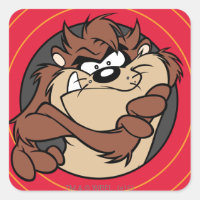 TAZ™ Through LOONEY TUNES™ Circles