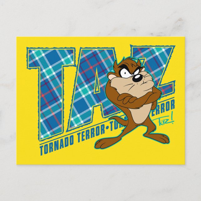 TAZ™ Tornado Terror Plaid Postcard (Front)