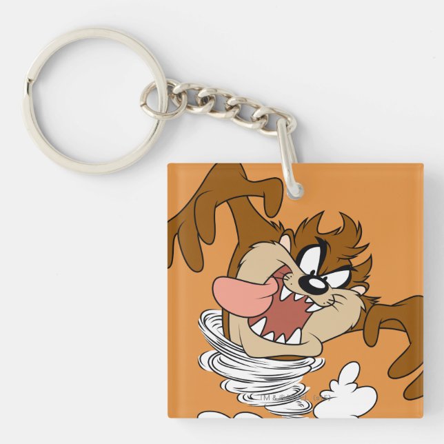 TAZ™ Whirling Tornado Keychain (Front)