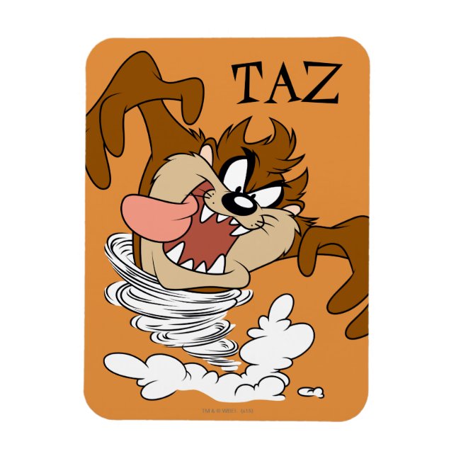 TAZ™ Whirling Tornado Magnet (Vertical)