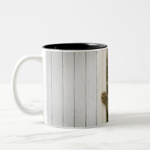 Taza Cat Good Morning Two-Tone Coffee Mug