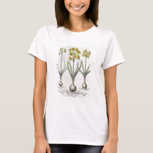 Tazetta Narcissi, from the 'Hortus Eystettensis' T-Shirt