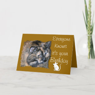 TazEveryoneKnows-customize-any occasion Card