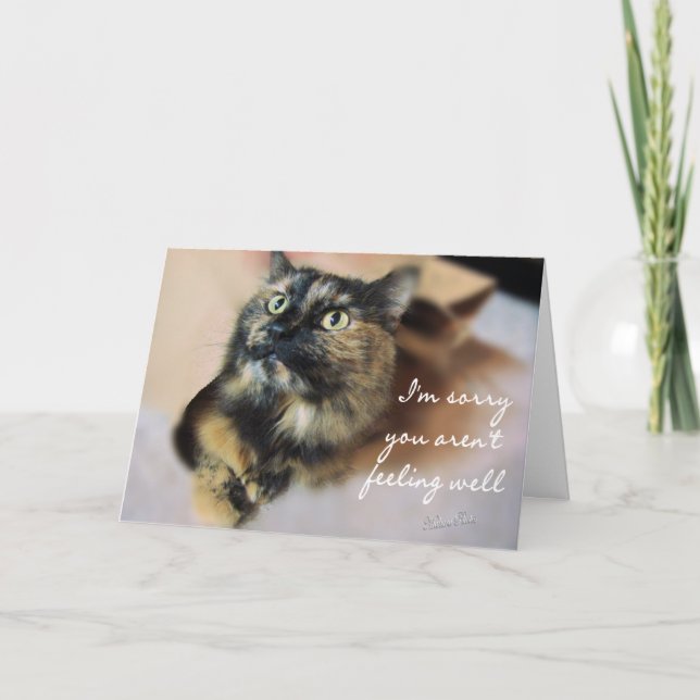 Tazzie-Get Well-customize Card (Front)