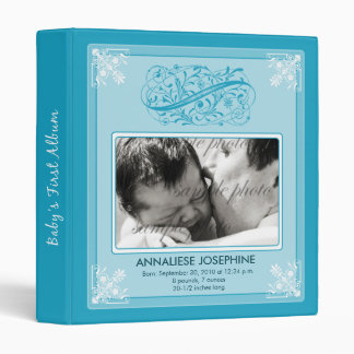 {TBA} Vintage Victorian Baby's First Album: aqua Binder