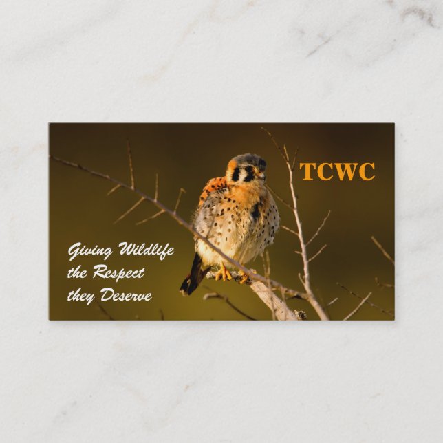 TCWC - Logo Kestrel Volunteer Business Card (Front)