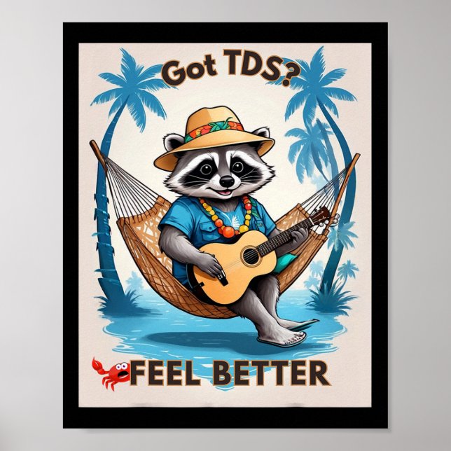 Tds Trump Derangement Syndrome Funny Trump Support Poster (Front)
