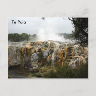 Te Puia Postcard