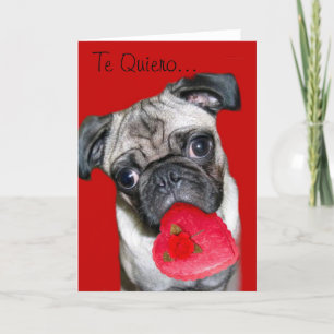 Te Quiero Tarjeta de Perro Pug Holiday Card