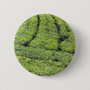 Tea gardens of Munnar on  2 Inch Round Button
