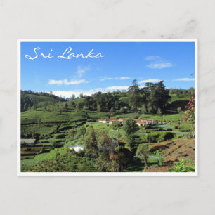 tea hills postcard