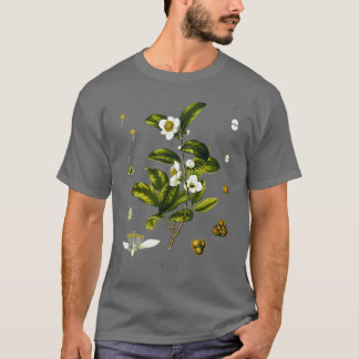Tea plant biological drawing Camellia Sinensis T-Shirt