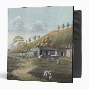 Tea planting (w/c on paper) binder