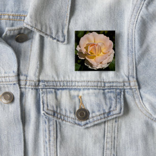 Tea Rose 2 Inch Square Button