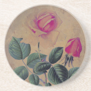 Tea Rose Grunge Coaster