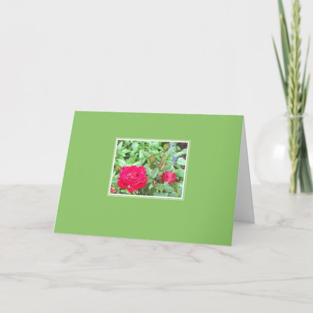 Tea Roses Inset Blank Greeting Card (Front)