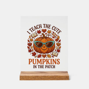 Teach Cute Pumpkins Patch Halloween Sunglasses_1 Acrylic Sign