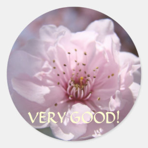 TEACHER HOLIDAY GIFTS "Good" Classroom Stickers