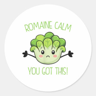 Teacher Testing Romaine Calm You Got This  Classic Round Sticker