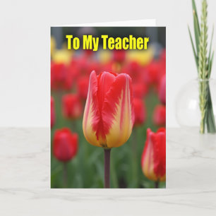 Teacher Tulip Appreciation Card