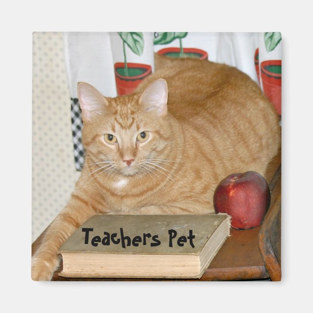Teacher's Pet Magnet (Front)