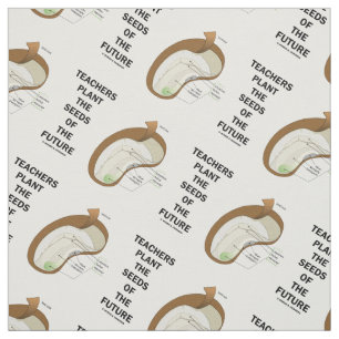 Teachers Plant The Seeds Of The Future Bean Seed Fabric